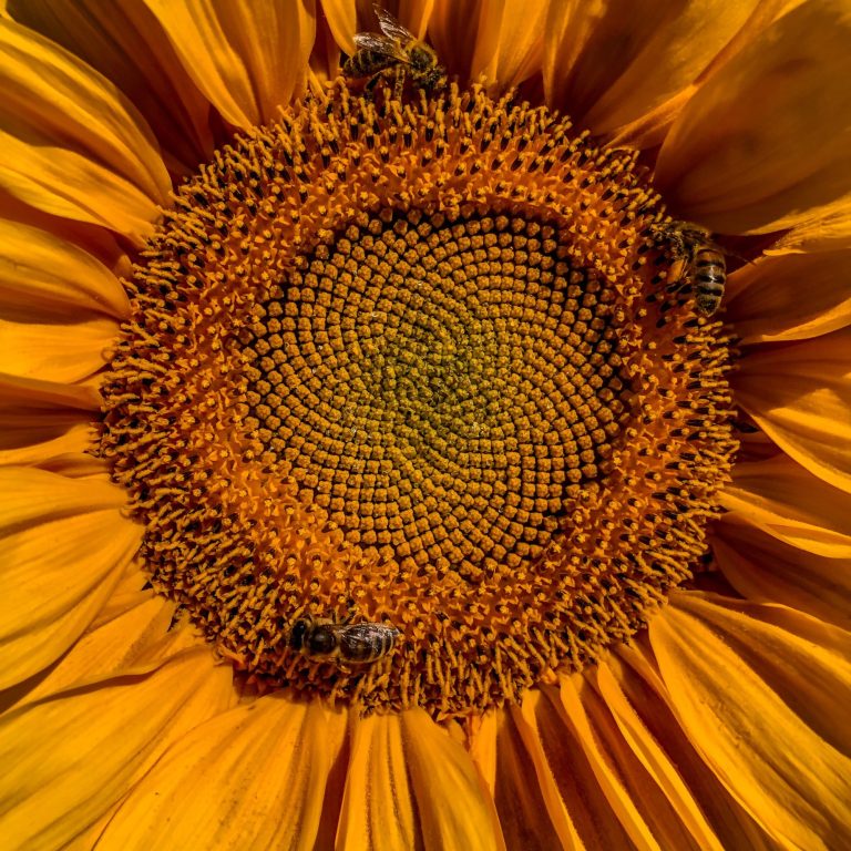 Ganzheitliches Coaching Ganzheitliches Coaching